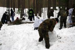 Изображение галереи 